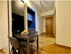26 Newton (D11), Apartment #528733571